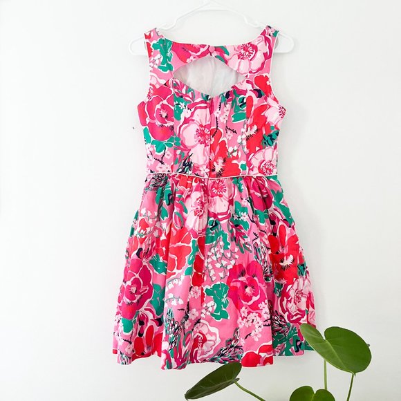 Lilly Pulitzer Alessa Dress Size 6 -  A Thing Called Love Print - Picture 5 of 9